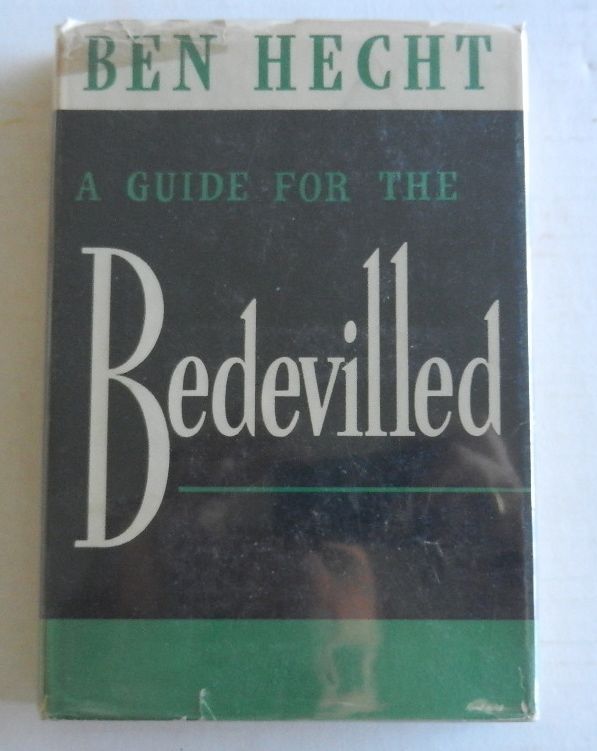 Image for A Guide for the Bedeviled