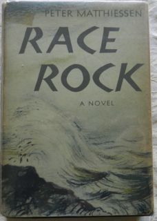 Image for Race Rock