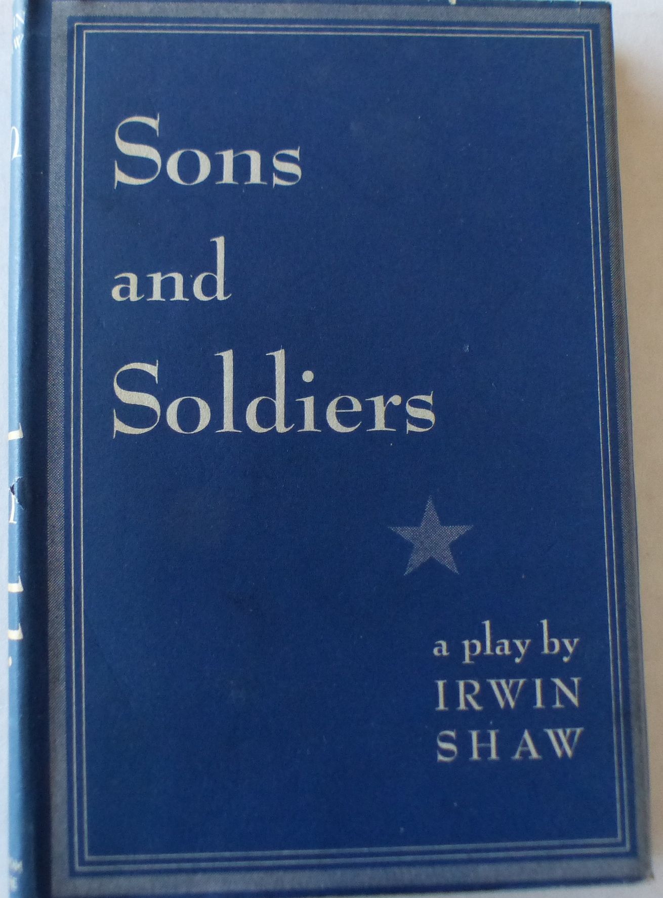 Image for Sons and Soldiers