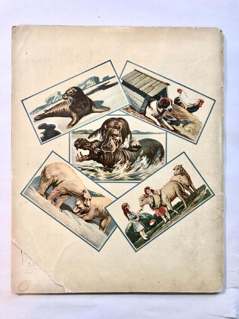 Thumbnail Image