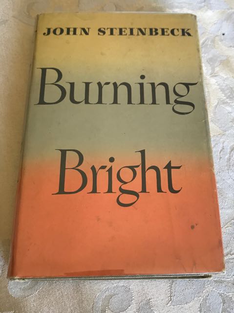 Image for Burning Bright