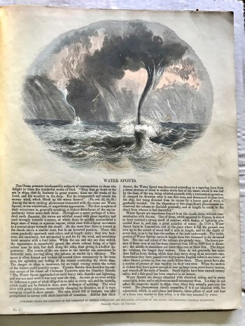Image for Thirty Plates Illustrative of Natural Phenomena, Etc. with a short description annexed to each plate.