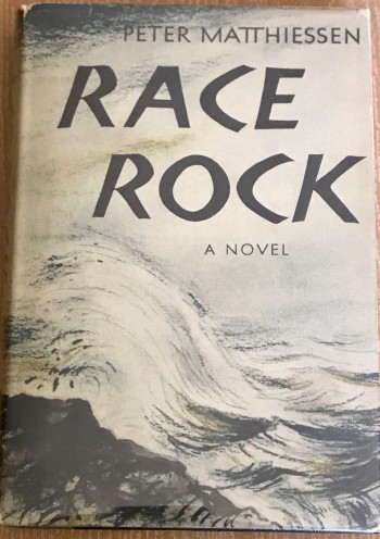 Image for Race Rock. 